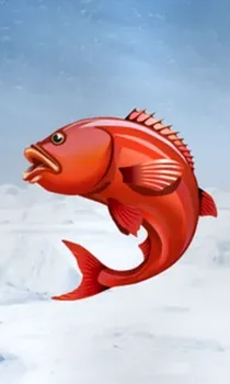 Ice Fishing